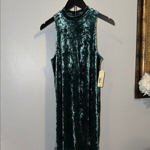 Arizona  Velvet Green Dress
